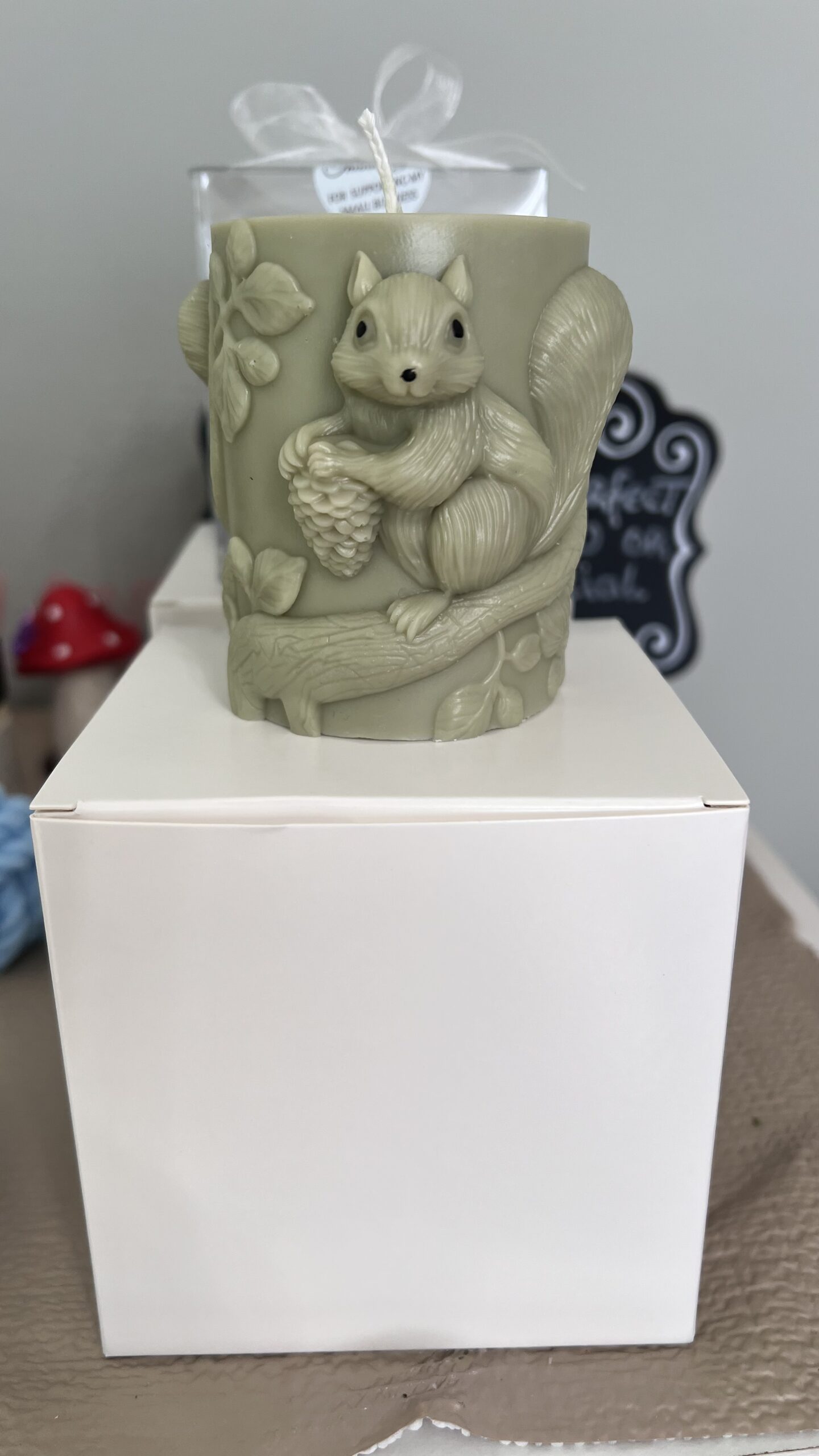 Shining Squirrel
